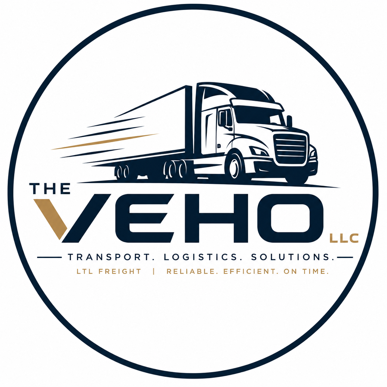 VEHO LLC